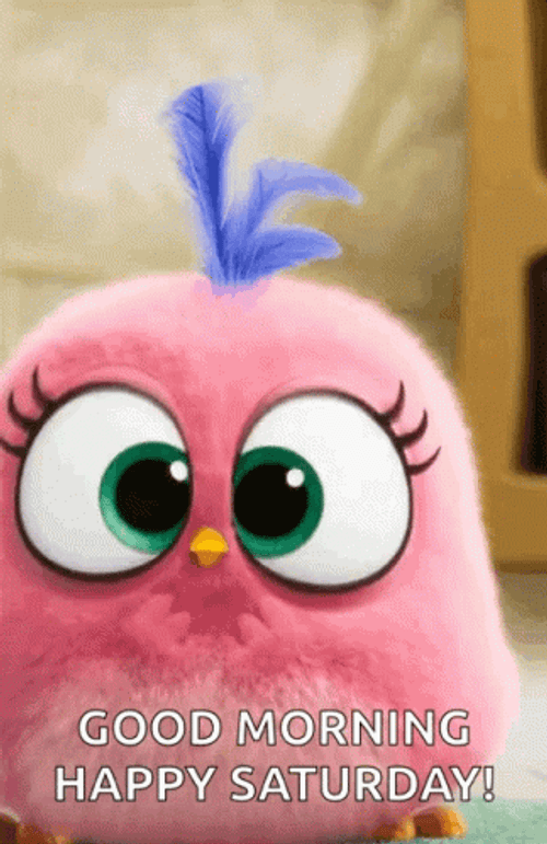 Happy Saturday Angry Birds Hatchling GIF