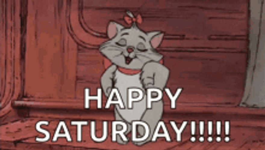 Happy Saturday Cat Dance The Aristocrats GIF
