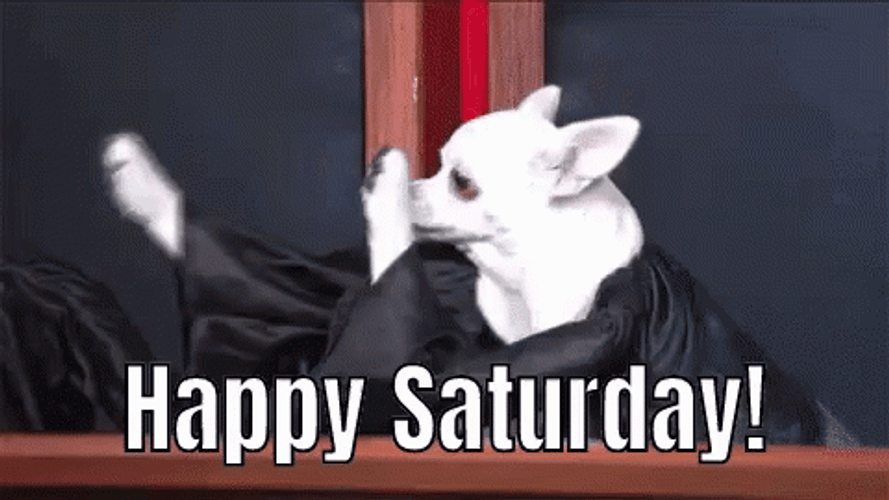 Happy Saturday Dog Raise The Roof GIF