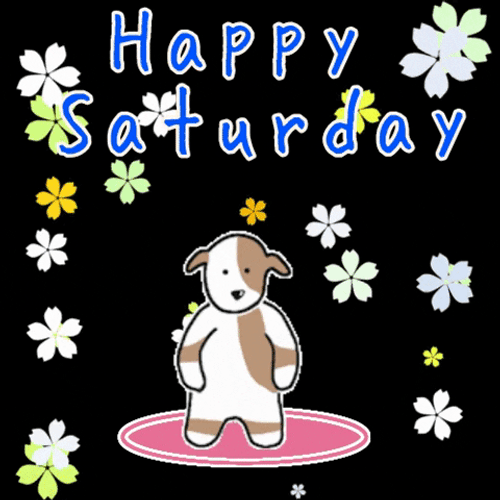 Happy Saturday Dog Spinning GIF