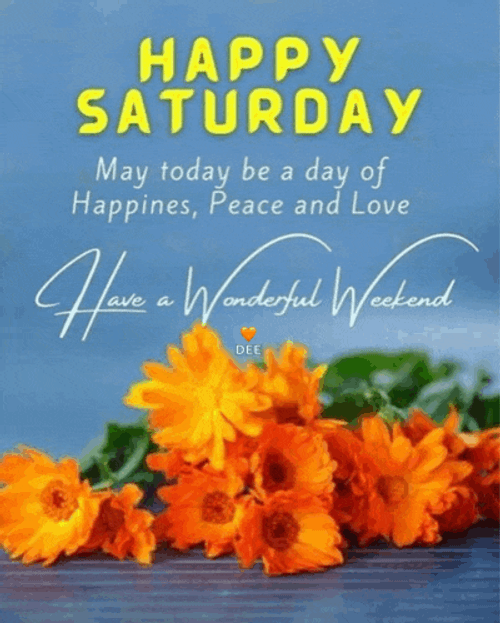 Happy Saturday Meme GIF