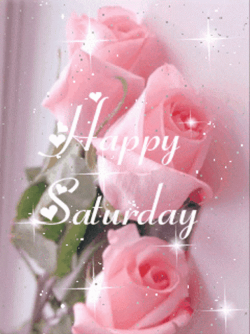 Happy Saturday Pink Roses GIF