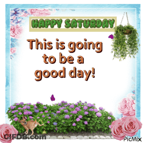 Happy Saturday This Is Going To Be A Good Day With Flowers And A Dog GIF