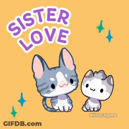 Happy Sister Day Cute Cats GIF
