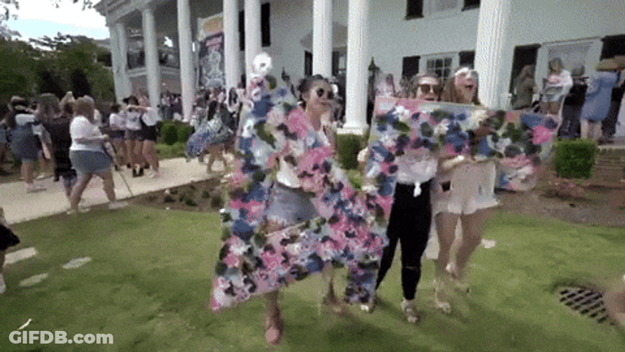 Happy Sisterhood Ole Miss GIF