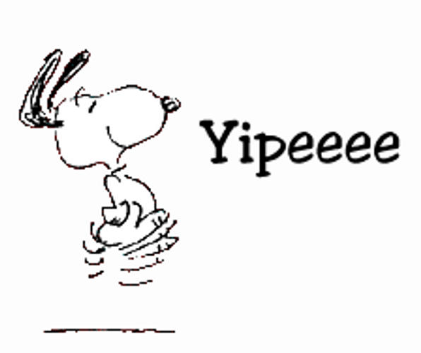Happy Snoopy Dance Yipeeee GIF