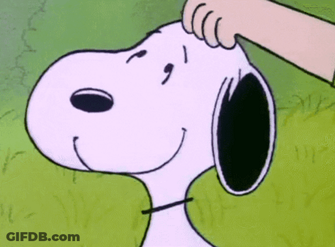 Happy Snoopy Got Pet On Birthday GIF