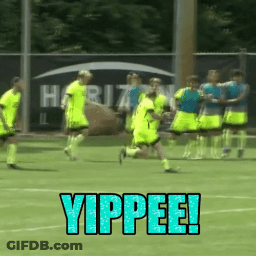 Happy Soccer Yippee Meme GIF