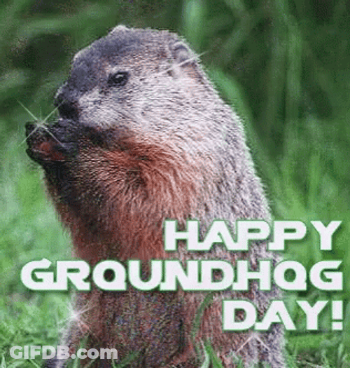 Happy Sparkling Groundhog Day GIF