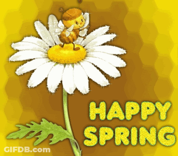 Happy Spring Bee Resting On Flower GIF