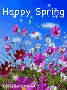 Happy Spring Card Pink White Flowers Blue Sky GIF