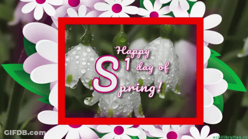 Happy Spring Greeting Card With Flowers GIF