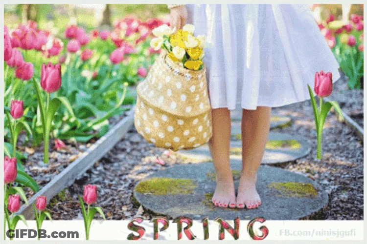 Happy Spring GIF
