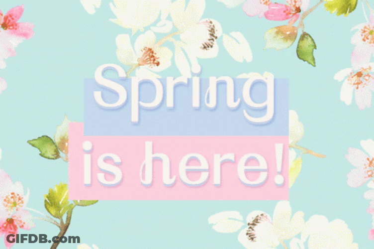 Happy Spring Pastel Flower Color GIF