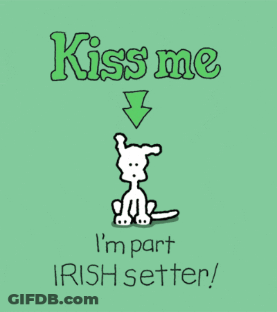 Happy St Patrick's Day Chippy The Dog GIF
