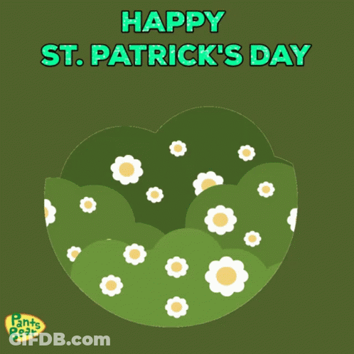 Happy St Patrick's Day Greeting Card With Bear GIF