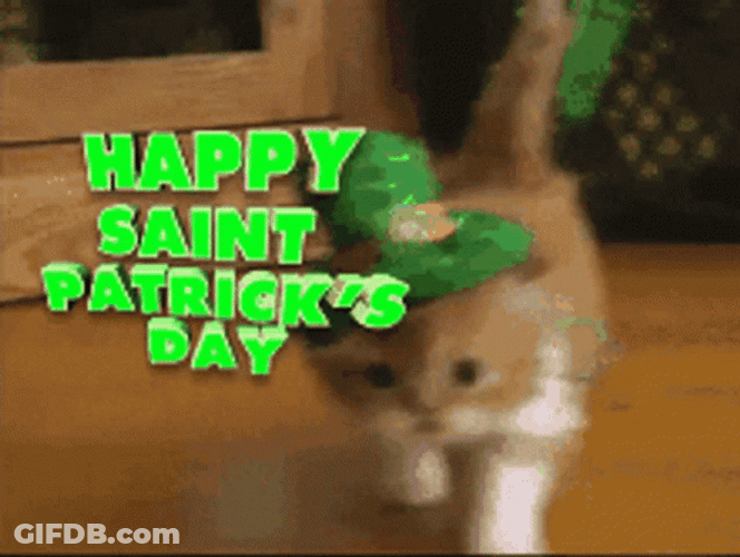 Happy St Patricks Day Birthday GIF