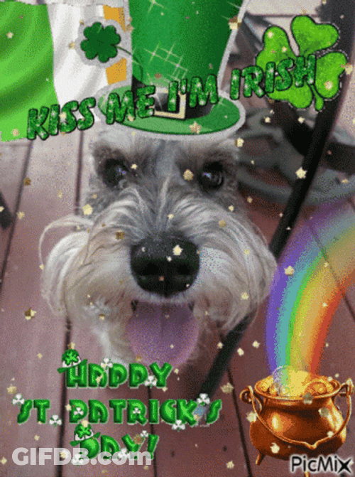 Happy St Patricks Day Birthday GIF