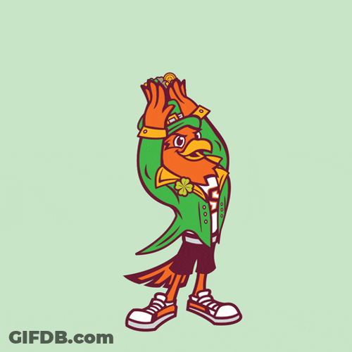 Happy St Patricks Day River Hawks GIF