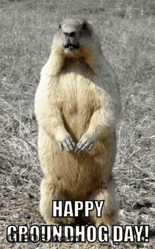 Happy Standing Groundhog Day GIF