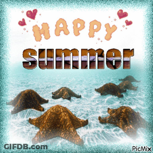 Happy Summer Greeting Card With Sea Stars GIF