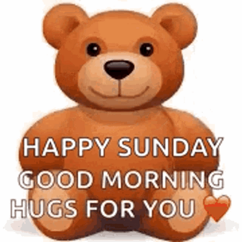 Happy Sunday Bear Hugs GIF