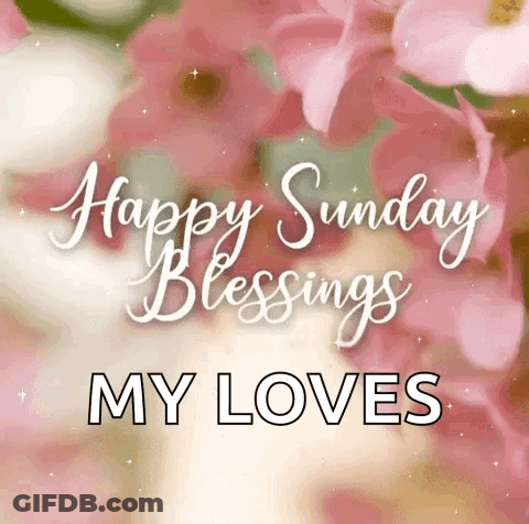 Happy Sunday Blessings Pink Flowers GIF