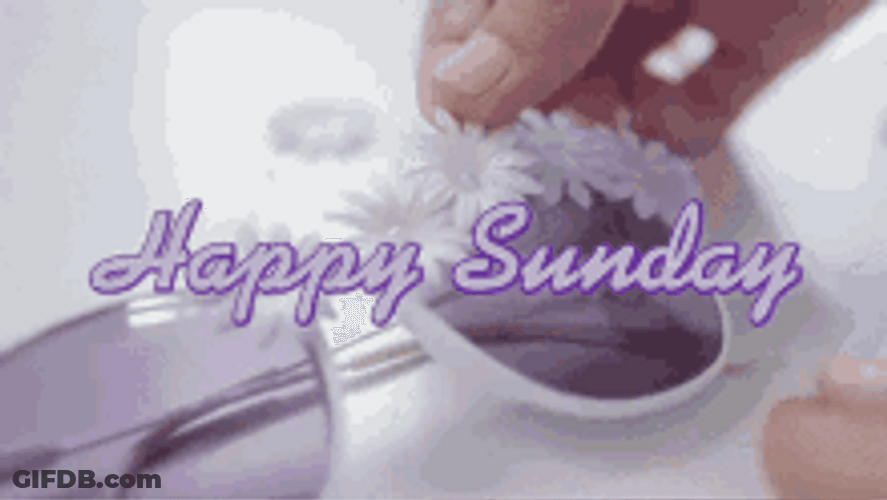 Happy Sunday Blessings Purple Sunglasses GIF