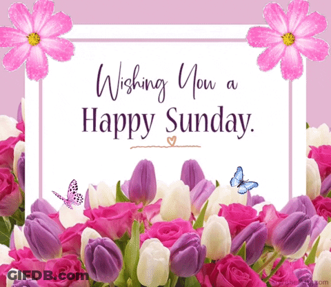 Happy Sunday Card With Flowers And Butterflies GIF