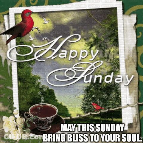 Happy Sunday Coffee And Bird GIF