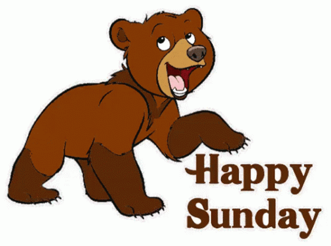 Happy Sunday Cute Brown Bear GIF
