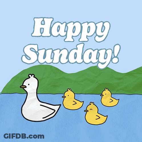 Happy Sunday Greeting Card With Ducklings GIF