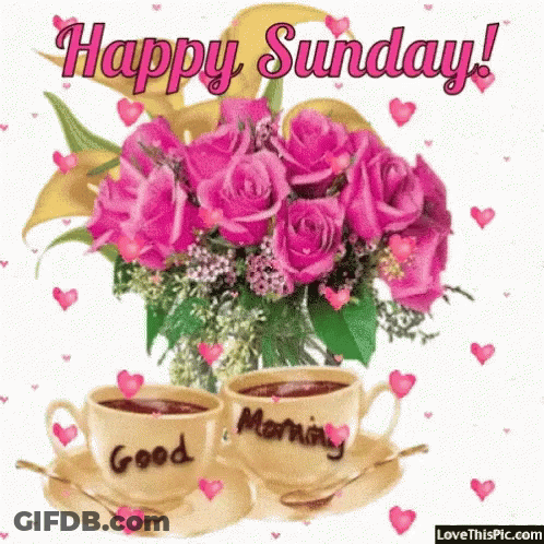 Happy Sunday Greeting With Pink Roses And Two Cups Of Coffee GIF