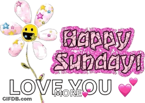 Happy Sunday Message With Flower GIF