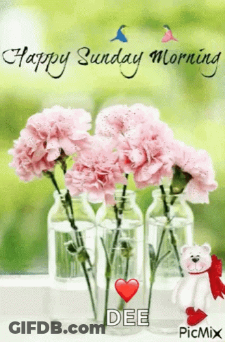 Happy Sunday Morning Pink Flowers And Teddy Bear GIF