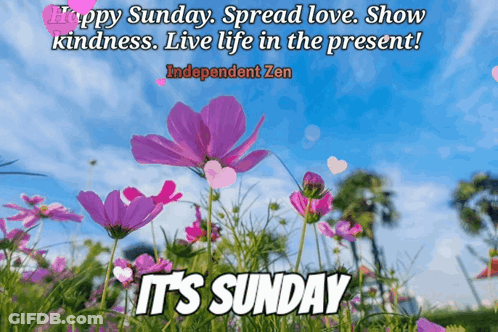 Happy Sunday Spread Love Show Kindness Live Present GIF