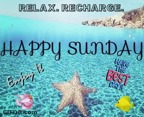 Happy Sunday Starfish In Water GIF
