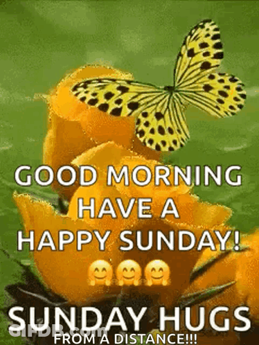 Happy Sunday With Hugs From A Distance GIF