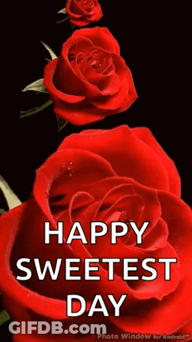 Happy Sweetest Day Message With Red Roses On Black Background GIF