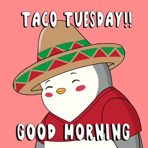 Happy Taco Tuesday Blushing Penguin GIF