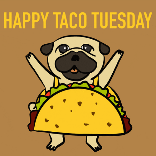 Happy Taco Tuesday GIF