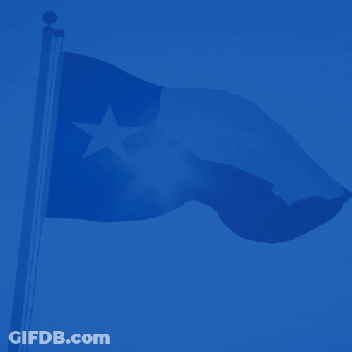 Happy Texas Independence Day GIF