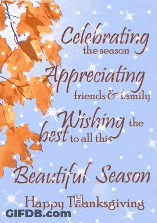Happy Thankgiving Thanksgiving GIF