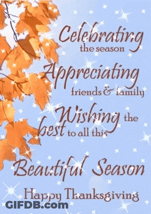 Happy Thankgiving Thanksgiving GIF