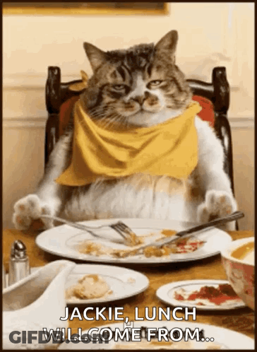 Happy Thanks GIF