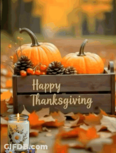 Happy Thanksgiving Card With Pumpkins Pine Cones Candle GIF
