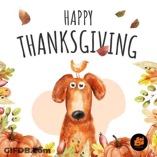 Happy Thanksgiving Charming Dog Graphics Design GIF
