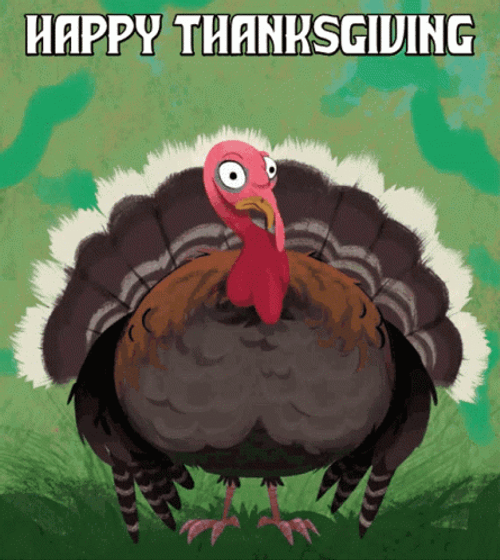 Happy Thanksgiving Crazy Turkey GIF