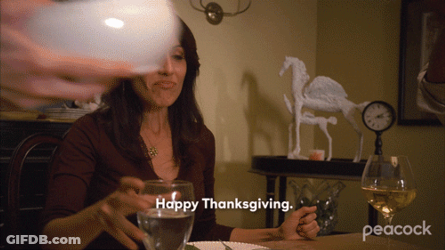 Happy Thanksgiving Dinner From Dan In Real Life GIF