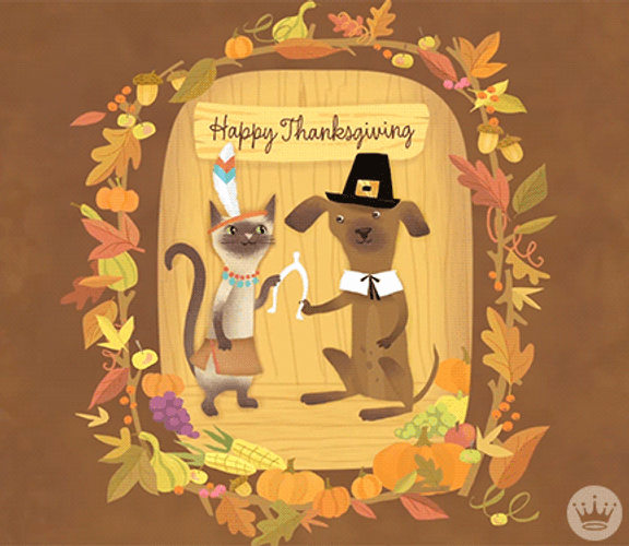 Happy Thanksgiving Dog And Cat Graphic Art GIF